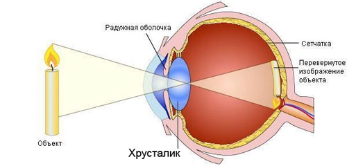 После 40 лет улучшить зрение